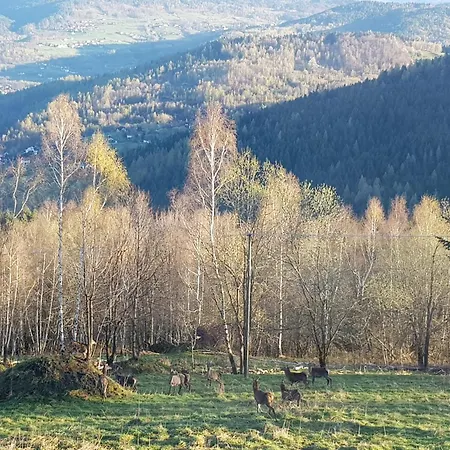 Surzynowka Bauernhof *